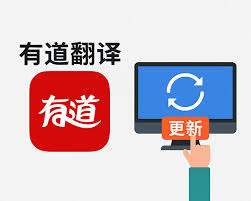 如何在有道翻译词典中查看车险理赔的英文进度？