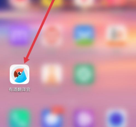 为什么海外装修业主用有道翻译词典查施工合同？